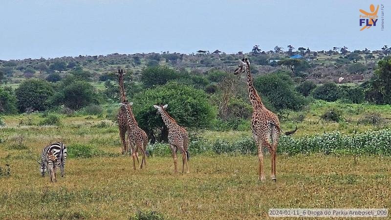 M_2024-01-11_6 Droga do Parku Amboseli_009.jpg