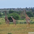 M 2024-01-11 6 Droga do Parku Amboseli 009