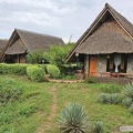 M 2024-01-11 7 AA Lodge Amboseli 022
