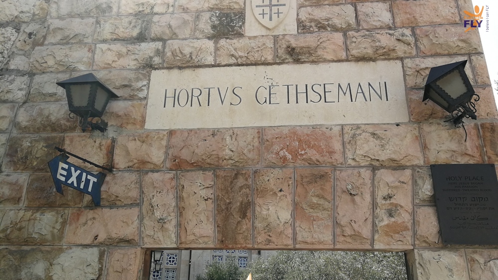 2019-02-25 5 Jerozolima Góra Oliwna Ogród Getsemani 001