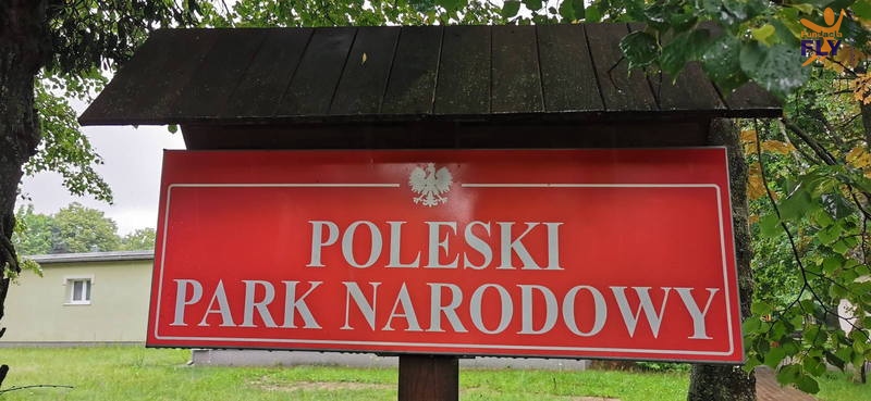 20200623_384_Poleski_Park_Narodowy.jpg