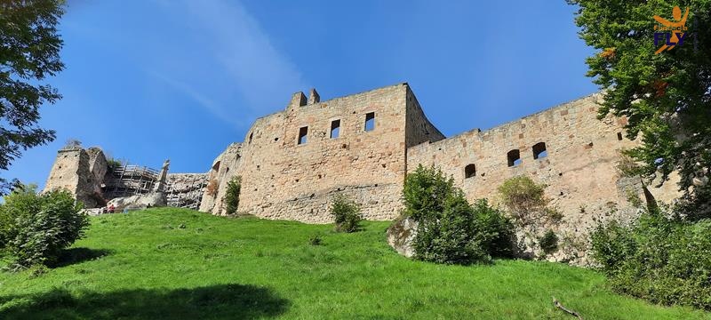 6 Zamek w Odrzykoniu (1).jpg