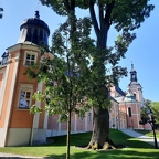 M Wyższe Seminarium Duchowne w Gościkowie