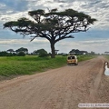 M 2024-01-11 8 PN Amboseli, popołudniowe safari 063