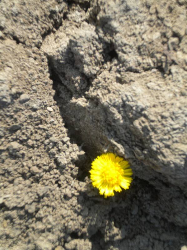 2013-03-06 Turystyka piesza Orlowo 022