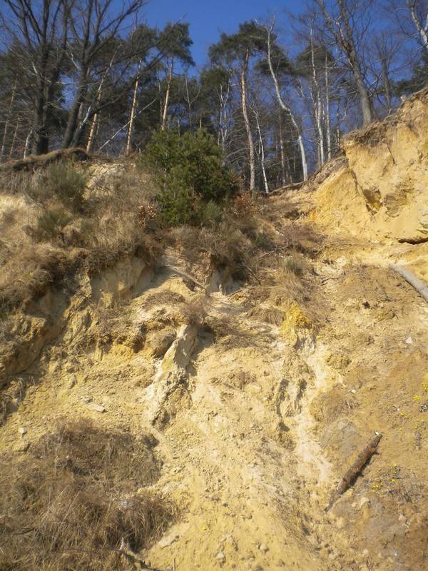 2013-03-06 Turystyka piesza Orlowo 027