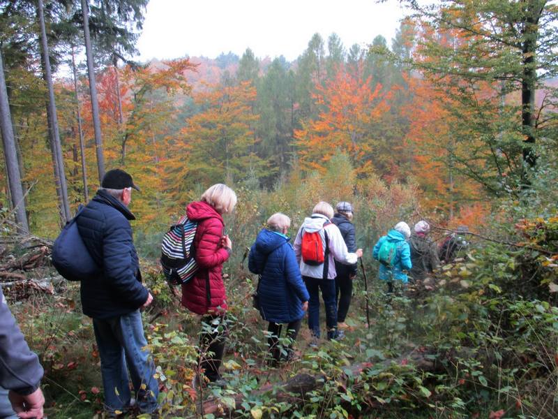 2016-10-20 Turystyka piesza M.Narewska