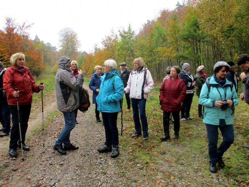 2016-10-20 Turystyka piesza M.Narewska