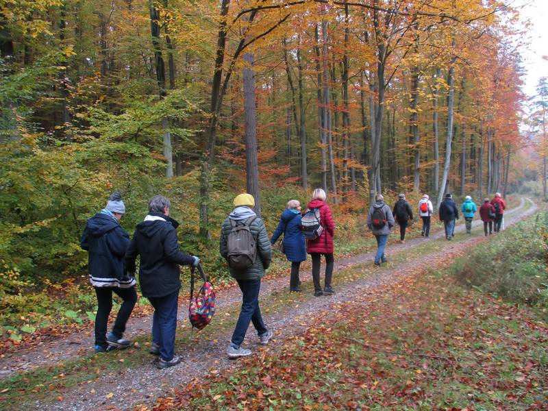 2016-10-20 Turystyka piesza M.Narewska