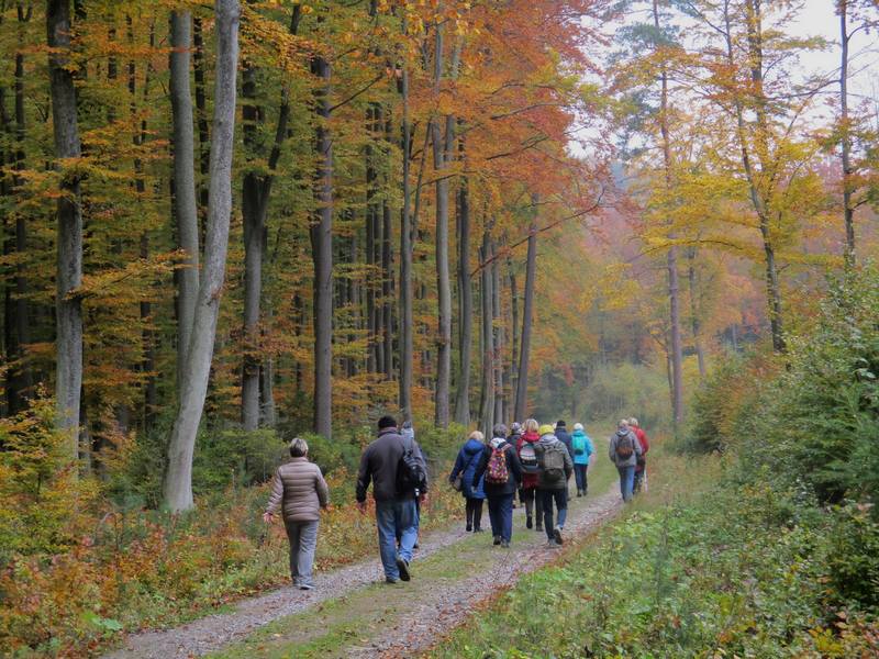 2016-10-20 Turystyka piesza M.Narewska