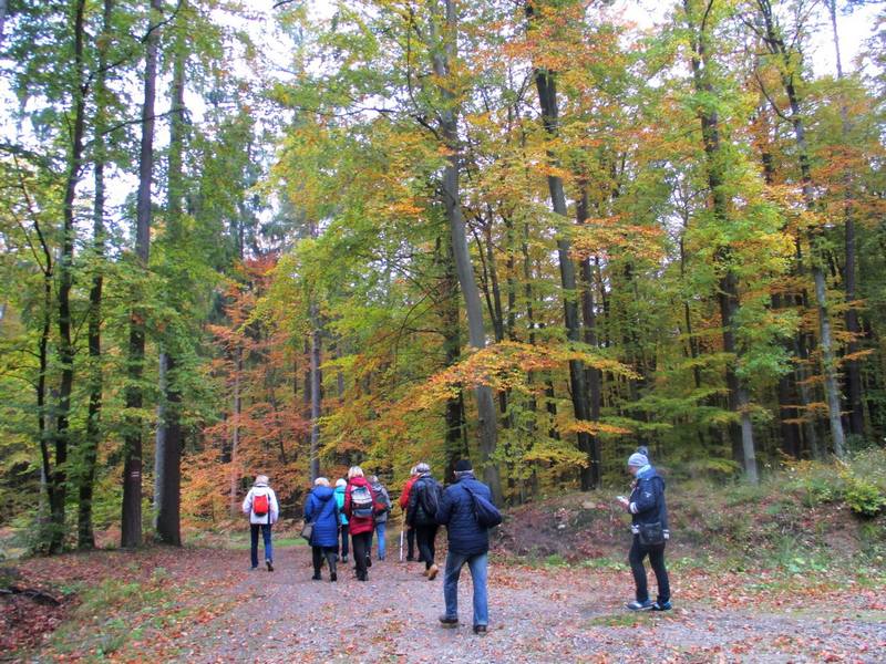 2016-10-20 Turystyka piesza M.Narewska